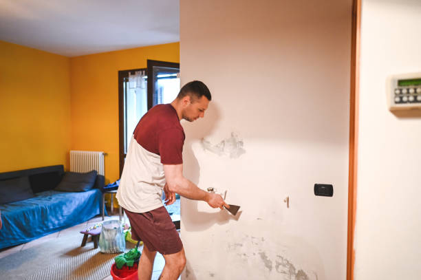 Best Local Mold Removal Service  in Lead, SD
