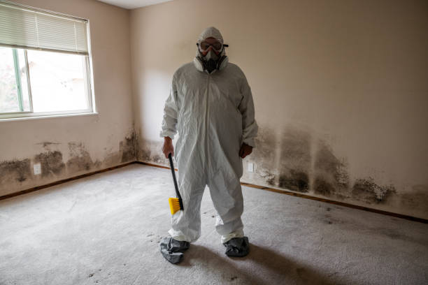 Best Residential Mold Removal  in Lead, SD